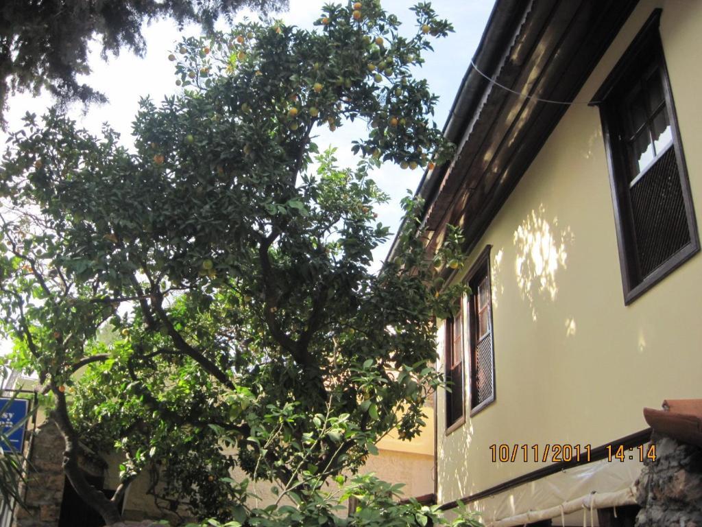 Afflon Hotels Old Marin Antália Exterior foto